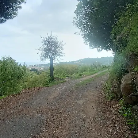 Casa Artigena * راباللو